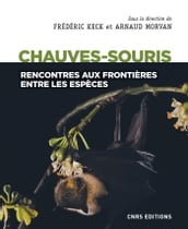 Chauves-souris - Rencontres aux frontières entre les espèces