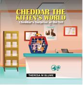 Cheddar The Kitten s World