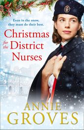 Christmas for the District Nurses (The District Nurses, Book 3)