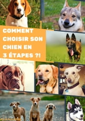 Comment choisir son chien en 3 étapes