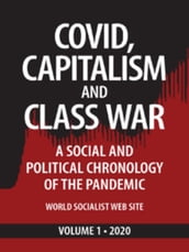 Covid, Capitalism, and Class War, Volume 1 2020: A Social and Political Chronology of the Pandemic