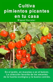 Cultiva pimientos picantes en tu casa. En el jardín, en macetas o en el balcón.