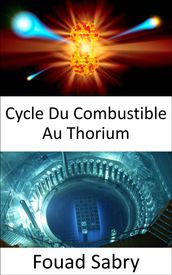 Cycle Du Combustible Au Thorium