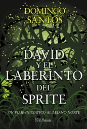 David y el laberinto del sprite