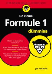 De kleine Formule 1 voor Dummies