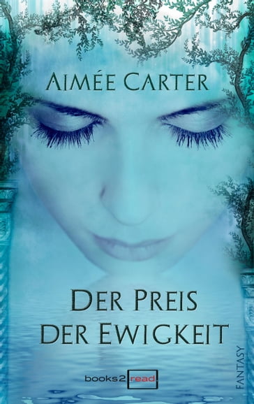 Der Preis der Ewigkeit - Aimée Carter