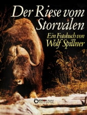 Der Riese vom Storvalen