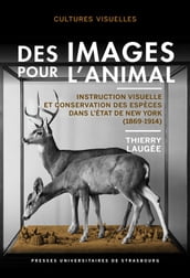 Des images pour l animal