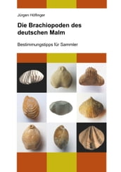 Die Brachiopoden des deutschen Malm