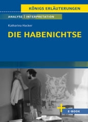 Die Habenichtse von Katharina Hacker - Textanalyse und Interpretation