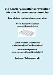 Die Sanfte Verwaltungsrevolution