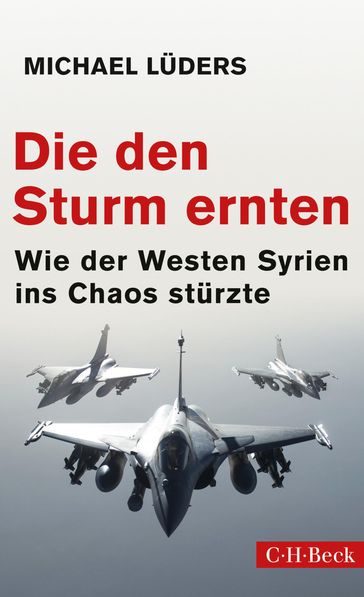 Die den Sturm ernten - Michael Luders