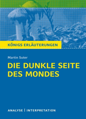 Die dunkle Seite des Mondes. - Martin Suter - Ruth Hassler