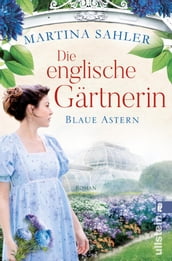 Die englische Gärtnerin  Blaue Astern