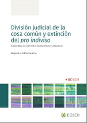 División judicial de la cosa común y extinción del pro indiviso