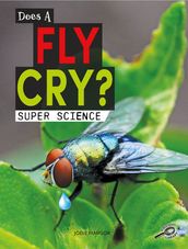 Does a Fly Cry?