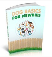 Dog Basics For Newbies