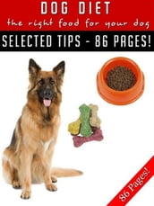 Dog Diet  The Right Food For Your Dog