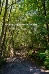 East Sussex Woodlands