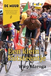 Een klein kutsteentje