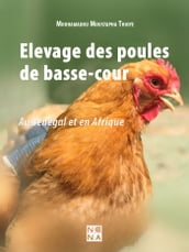 Elevage des poules de basse-cour