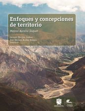 Enfoques y concepciones de territorio