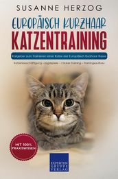Europäisch KurzhaarEuropäisch Kurzhaar Katzentraining - Ratgeber zum Trainieren einer Katze der Europäisch Kurzhaar Rasse