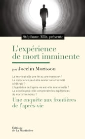 L Expérience de mort imminente. Une enquête aux frontières de l après-vie