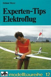 Experten-Tips Elektroflug