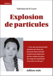 Explosion de particules