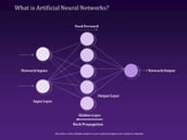 FABRICATED NEURAL NETWORKS