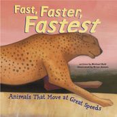 Fast, Faster, Fastest