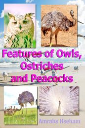 Features of Owls, Ostriches and Peacocks