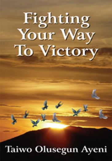 Fighting Your Way to Victory - Taiwo Olusegun Ayeni