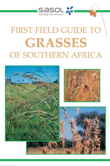 First Field Guide to Grasses of Southern Africa - Gideon Smith