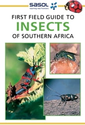 First Field Guide to Insects of Southern Africa