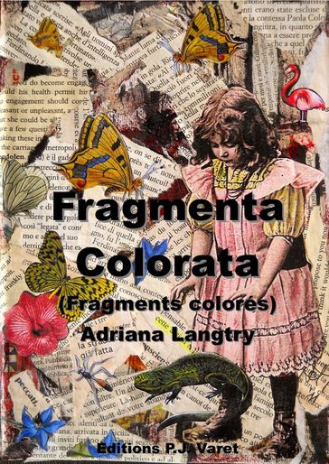 Fragmenta colorata - Adriana Langtry