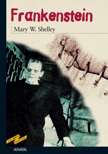 Frankenstein - Mary W. Shelley