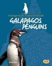 Galapagos Penguins