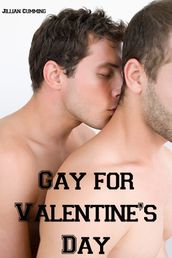 Gay for Valentine s Day