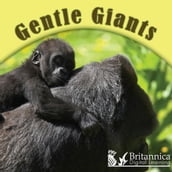 Gentle Giants