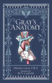 Gray s Anatomy (Barnes & Noble Collectible Editions)
