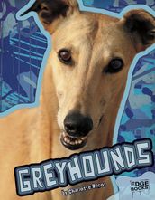 Greyhounds