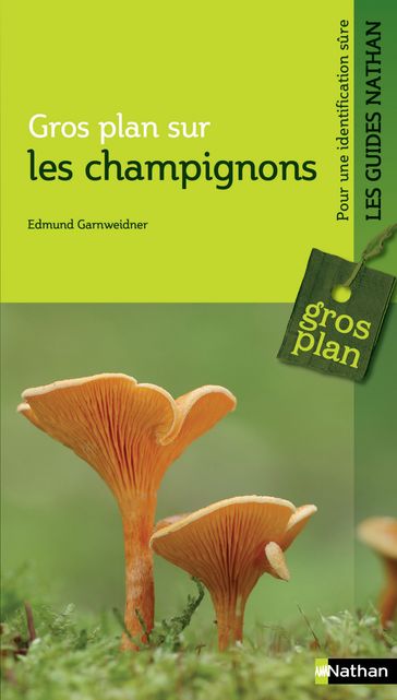 Gros plan Sur les champignons - Edmund Gardweidner