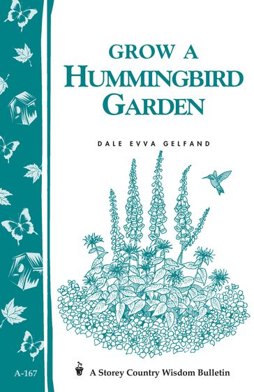 Grow a Hummingbird Garden - Dale Evva Gelfand