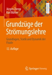 Grundzüge der Strömungslehre