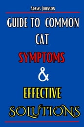 Guide To Common Cat Symptoms And Effective Solutions