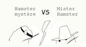 Hamster mystère VS Mister Hamster