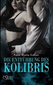 Hard & Heart 1: Die Entführung des Kolibris