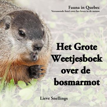 Het Grote Weetjesboek over de Bosmarmot - Lieve Snellings